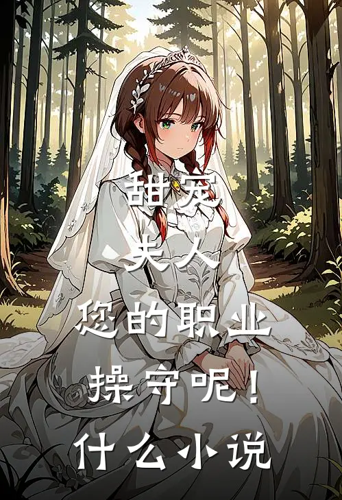 甜宠：夫人，您的职业操守呢！什么小说