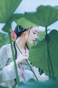 晚来舟楫不相识精品篇