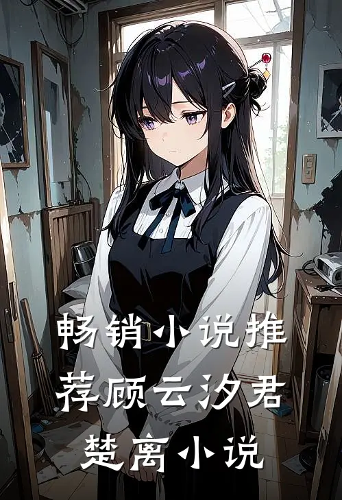 畅销小说推荐顾云汐君楚离小说