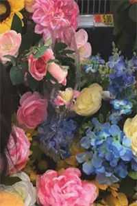 让你当助理，没让你拐带美艳雇主全章阅读