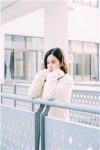 飞雁渡春秋几重全文阅读最新