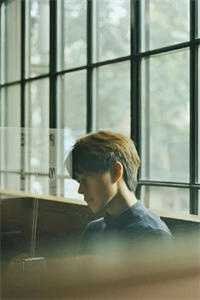 情似残梦随风逝全本