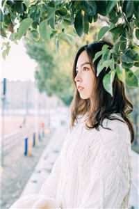 惹上那位爷，我才知道什么叫绝路林朵朵沈衡完结文