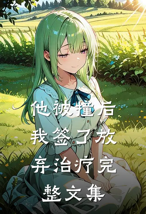 他被撞后，我签了放弃治疗完整文集
