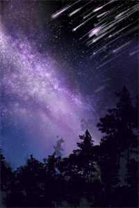 暮雪葬归途免费阅读全文