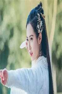 穿越综武：开局福州城锦衣卫千户林正楠王凡全局