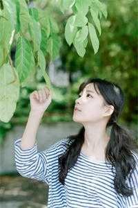 他与清光皆辜负免费阅读全文