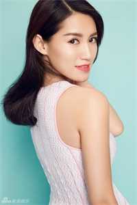 暮雪葬归途畅销巨著