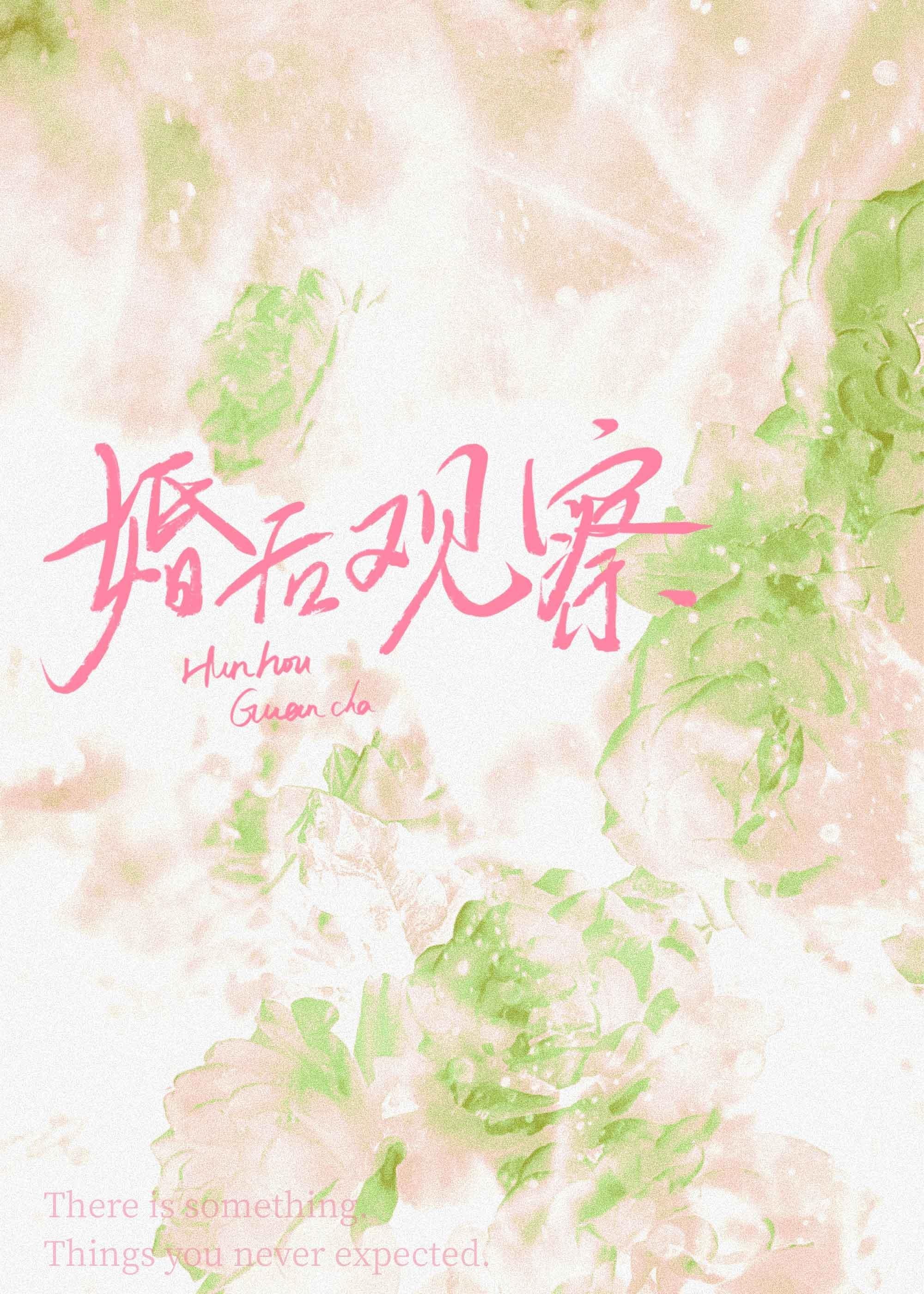 乡村超品农民 吃丸子畅读佳作