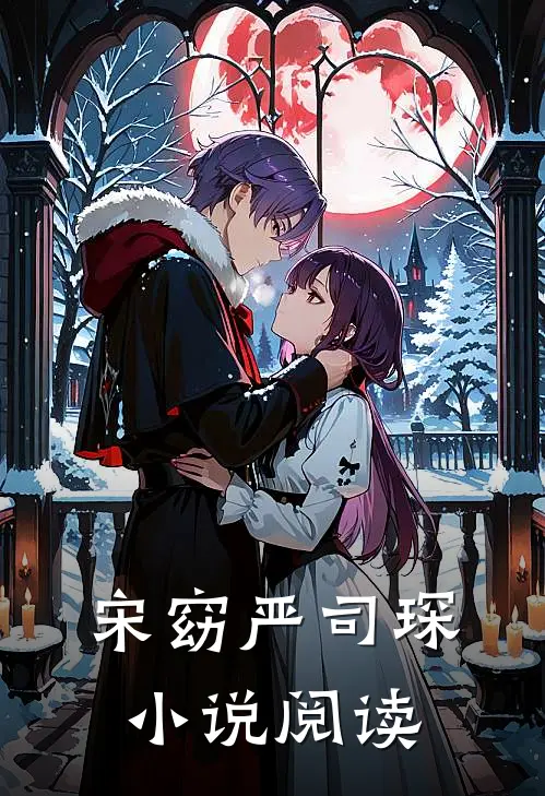 宋窈严司琛小说阅读