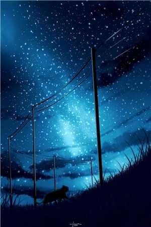 月下拾花听禅音最完整版